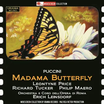 Puccini: Madama Butterfly (Madame Butterfly) [Recorded 1962] by Erich Leinsdorf