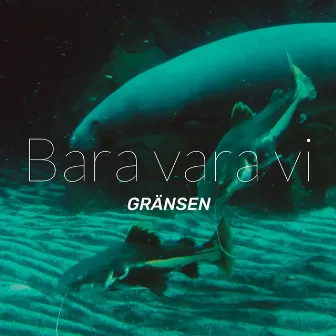 Bara vara vi by Gränsen