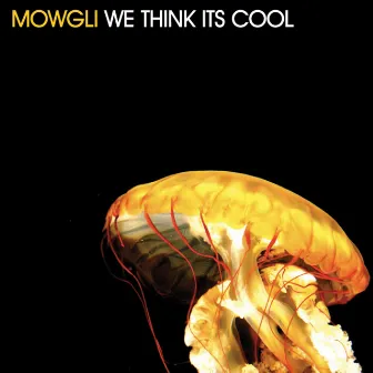 We Think Its Cool EP by Mowgli