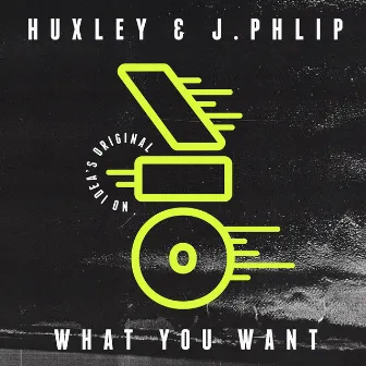 What You Want by J. Phlip