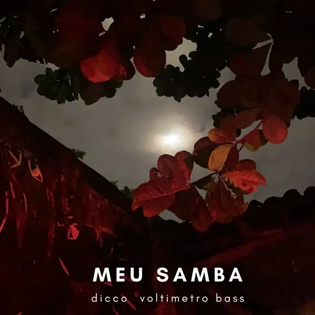 Meu Samba