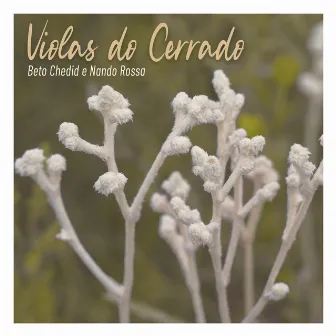 Violas do Cerrado by Beto Chedid