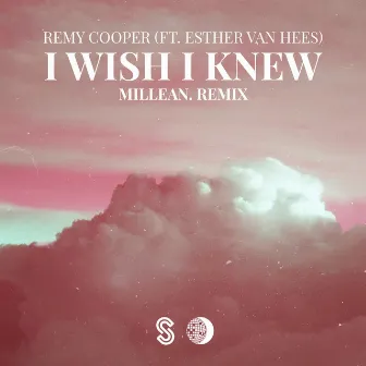 I Wish I Knew (Millean. Remix) by Millean.