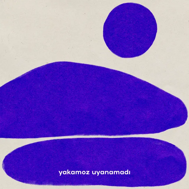 Yakamoz Uyanamadı