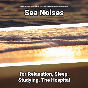 Sea Noises for Relaxation, Sleep, Studying, The Hospital by Ocean Sounds for Relaxation and Sleep