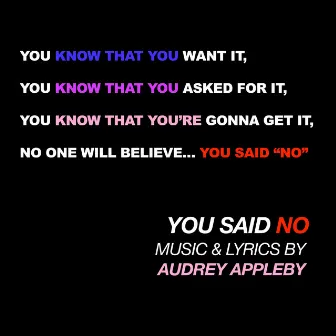 You Said No by Audrey Appleby