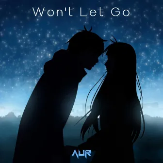 Won't Let Go by AUR