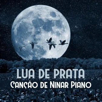 Lua de Prata - Canção de Ninar Piano, Musicoterapia para o Seu Bebê, Problemas para Dormir e Chorar, Melodias Doces Sonhos by Unknown Artist