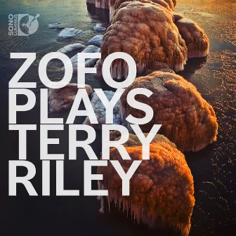 ZOFO Plays Terry Riley by ZOFO Duet