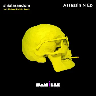 Assassin N by Shialarandom