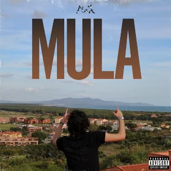 Mula by M4sk