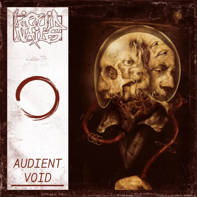 Audient Void