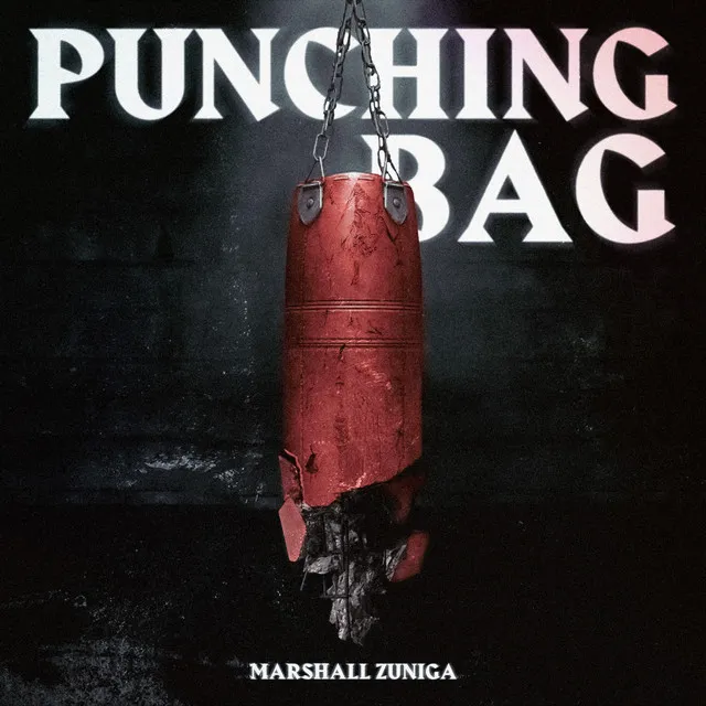 Punching Bag