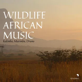 Wildlife African Music (Kalimba, Marimba, Drums) by Africa Music