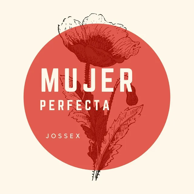 Mujer Perfecta