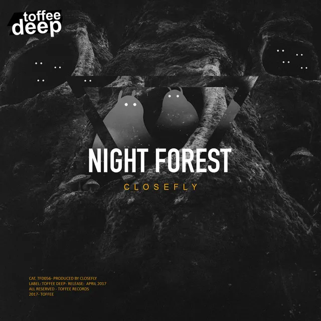 Night Forest