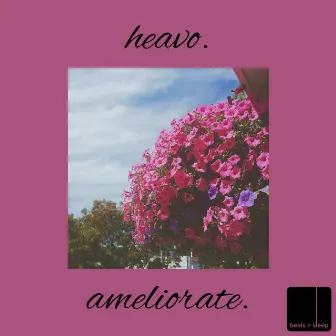 Ameliorate. by Heavo.