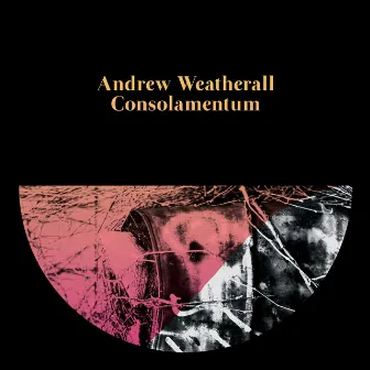 Consolamentum by Andrew Weatherall