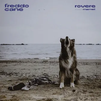 freddo cane by rovere