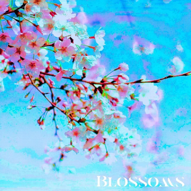 Blossoms