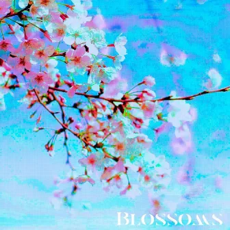 Blossoms by Msiz