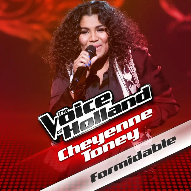 Formidable - from The voice of Holland