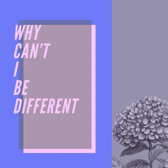 Why Can't I Be Different by Framework