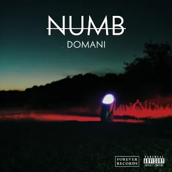 Numb by Domani