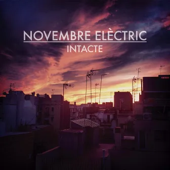 Intacte by Novembre Elèctric