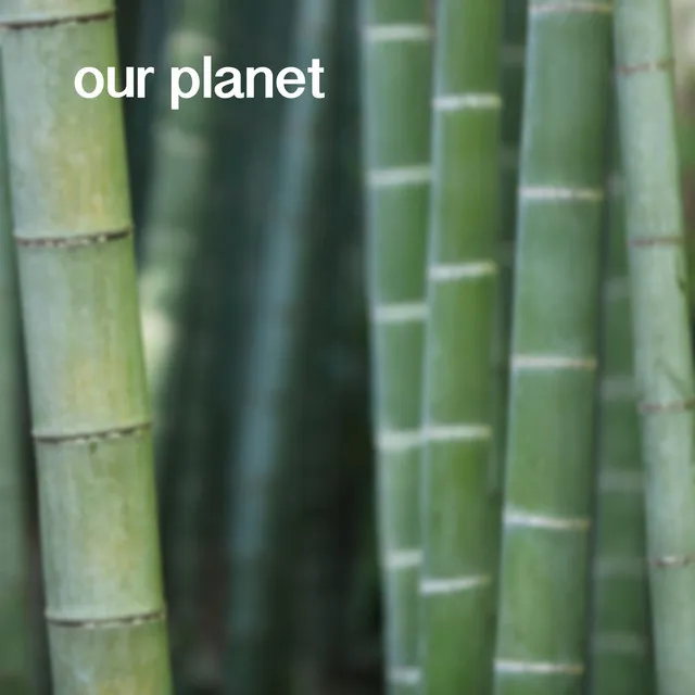 Our Planet