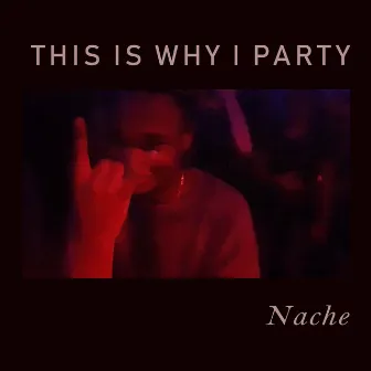 This Is Why I Party by Nache