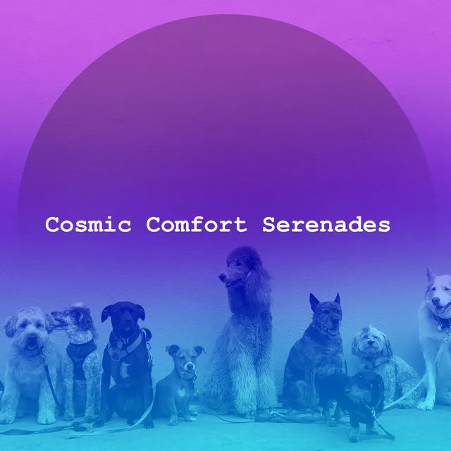 Cosmic Comfort Serenades