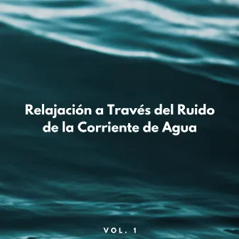 Relajación A Través Del Ruido De La Corriente De Agua Vol. 1 by Duerme por favor