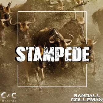 STAMPEDE by Randall Colleman