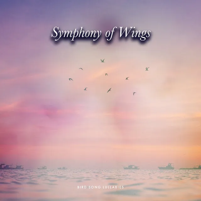 Symphony of Wings