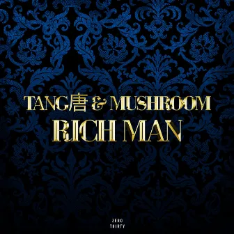 Rich Man (Radio Edit) by Mushroom