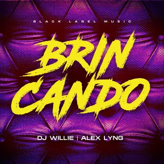 Brincando by DJ Willie