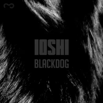 BLACKDOG by IOSHI