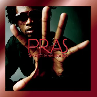 What'cha Wanna Do (Remixes) by Pras