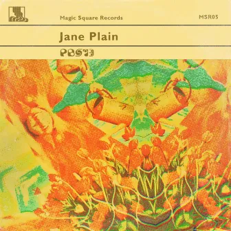 Jane Plain by Pbs'73