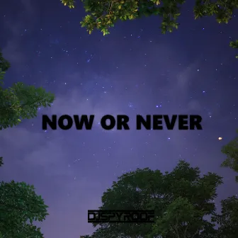 Now or Never by DJ Spyroof