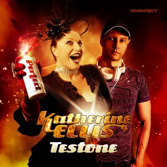 Perfect (The Club Mixes) by Testone