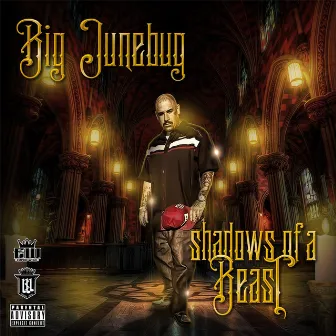 Shadows of a Beast by Big June Bug