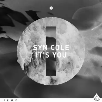 It's You (Radio Edit) by Syn Cole