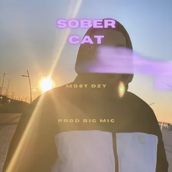 Sober Cat by Most Dzy