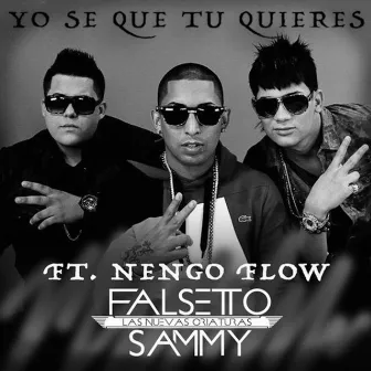 Yo Sé Que Tú Quieres by Ñengo Flow