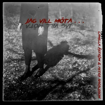 Jag vill möta... by Petra Haraldson