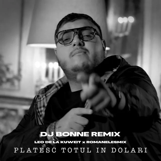 Platesc totul in dolari - Dj Bonne Remix