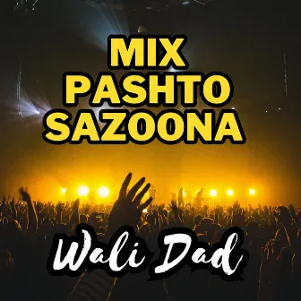 Mix Pashto Sazoona by Wali Dad