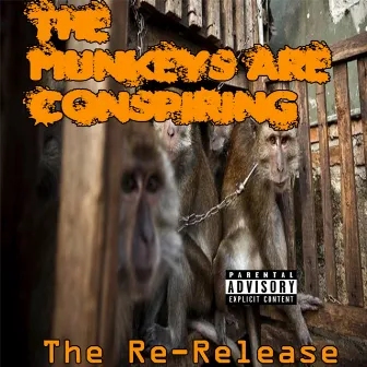 The Re-Release by The Munkeys Are Conspiring